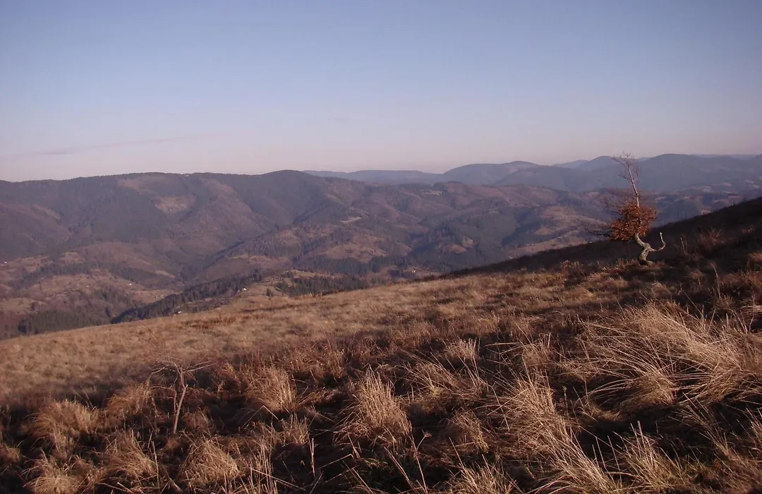 Terem-1